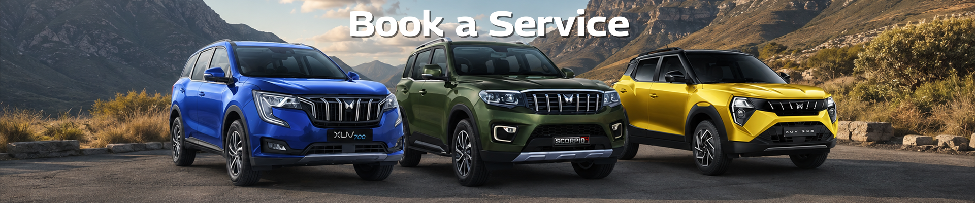 Book a Service